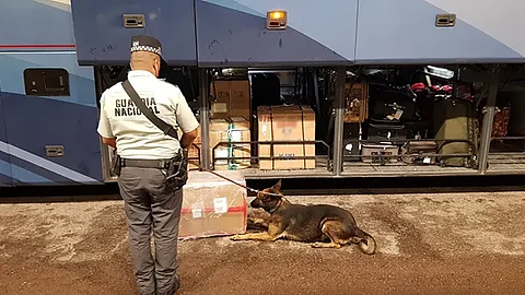 El aseguramiento se dio en la carretera León-Aguascalientes (Foto: Cortesía)