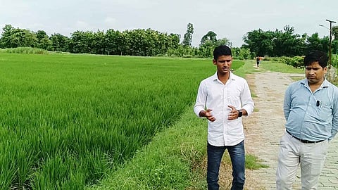 The government is continuously working towards enhancing farmers' crop production.
(represenational image)