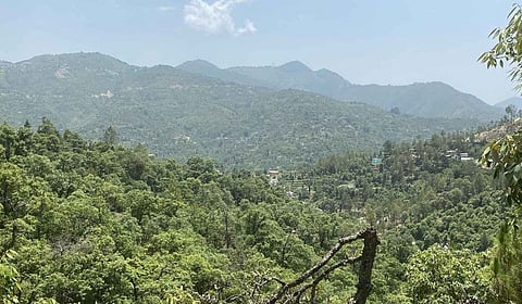 वन संरक्षण के लिए आदिवासी युवाओं को रोजगार से जोड़ रहा वन विभाग