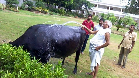 जब लालू यादव ने बाबा साहेब और लोहिया को याद करते हुए लिखी थी दिल की बात / फोटो साभार - फ़ेसबुक