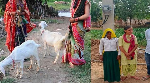 बकरी चराने वाली लड़की के घर में नहीं थी बिजली, 12वीं में प्राप्त किए 93% अंक