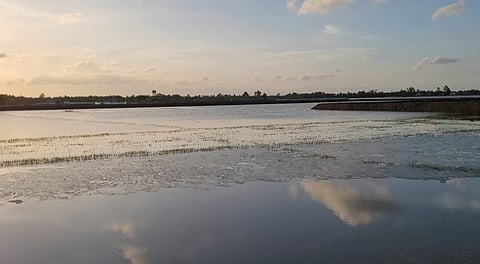 ग्राउंड रिपोर्टः जलवायु परिवर्तन के कारण धान की खेती छोड़ मत्स्य पालन को चुना, अब उसमें भी हो रहा घाटा