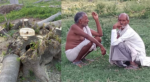 हरे पेड़ काटने पर दलित युवक को दी जातिसूचक गालियां, थानेदार से शिकायत पर भी नहीं हुई कार्रवाई