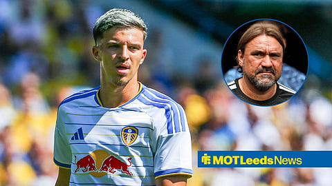 Tarik Muharemovic and Leeds boss Daniel Farke