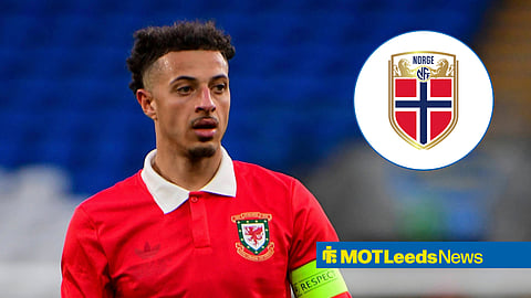 Leeds star Ethan Ampadu and Norway badge in inset