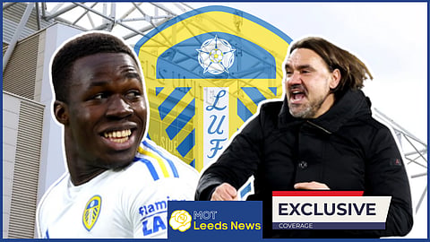 There has been a major turnaround for Willy Gnonto under Daniel Farke at Leeds United this season