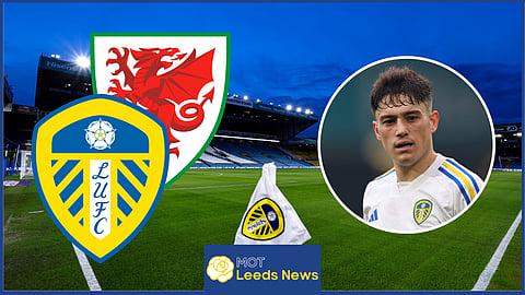 Leeds United and Wales ace Daniel James