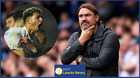 Mateo Joseph is hoping to earn Daniel Farke's trust at Leeds United
