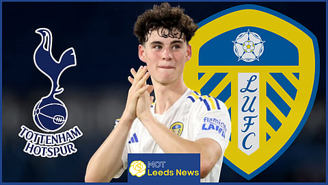 Archie Gray joined Tottenham from Leeds United