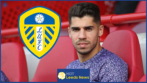 Leeds United are looking to sign Manor Solomon from Tottenham