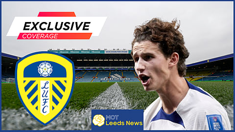 Brenden Aaronson slammed at Leeds United, 'Wasp in a bottle'