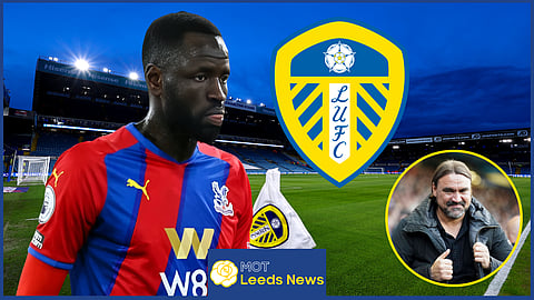 Leeds United want to sign Cheikhou Kouyate