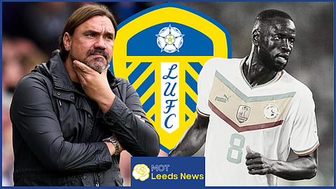 Leeds United and Daniel Farke are interested in signing Cheikhou Kouyate (credit: Imago)