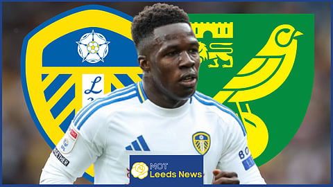 Leeds United star Wilfried Gnonto shined against Norwich City
