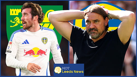 Daniel Farke went made at Joe Rothwell during Leeds United v Norwich City (credit: Imago)