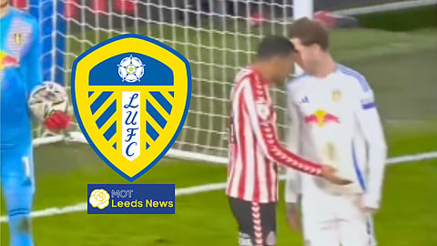 Things got heated between Leeds United and Sunderland. (Credit: Sky Sports)