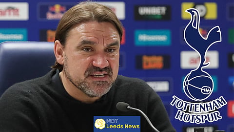 Leeds United manager Daniel Farke is interested in signing a Tottenham ace (credit: Imago)