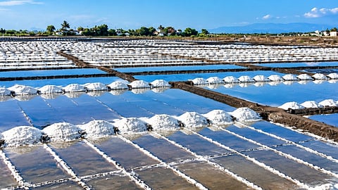 salt department land transfer mbmc development projects