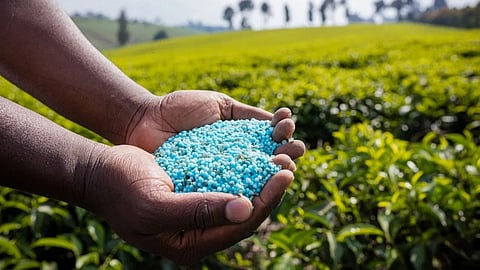 bhandara paddy farmers fertilizer price hike