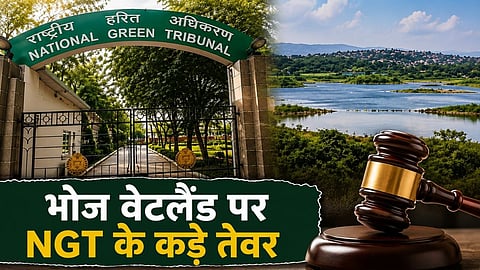 NGT Issues Strict Directions For Protection of Bhoj Wetland