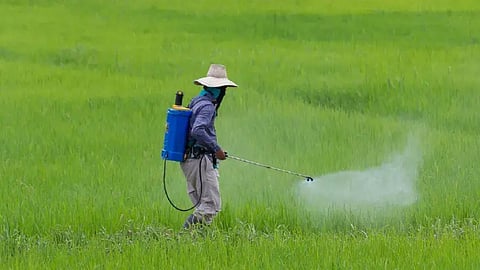 yavatmal pesticide poisoning 51 cases 2026