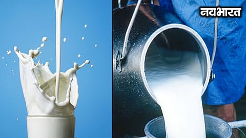Major blow ahead of the festive season: Wholesale price of buffalo milk in Mumbai hiked by ₹9