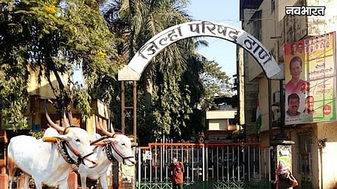 thane zp animal husbandry subsidy scheme online apply