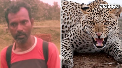 Bhandara Leopard Attack Farmer