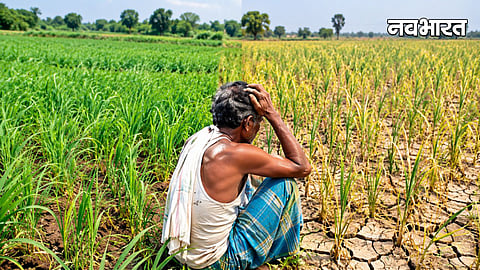 Pune Kharif Crops