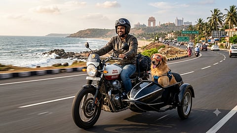 dog for a ride on a bike land you in trouble law says srs13