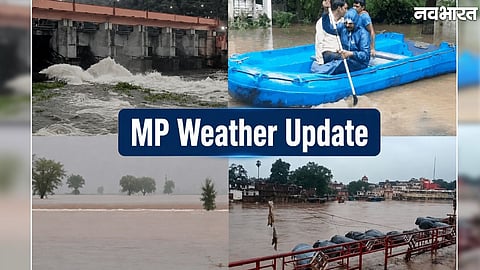Orange alert issued in Sheopur and Shivpuri districts