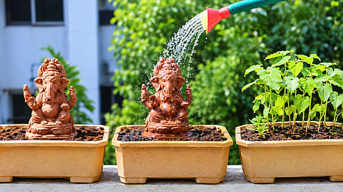 Tree ganesha eco friendly ganpati idol plantable ganesh chaturthi RRS05