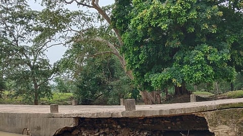 gadchiroli marpalli vasamundi bridge 5 crore fund construction