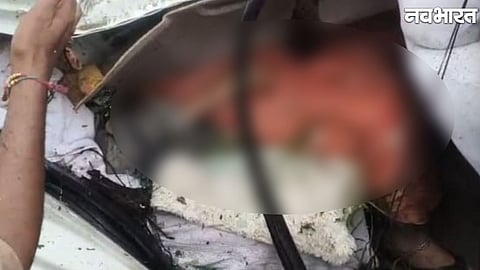 old tamarind tree falls on moving cars in Indore