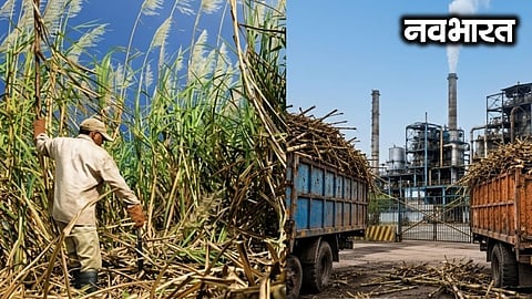 Inflation impacts the sweetness of sugar; sugarcane crushing to begin on October 15