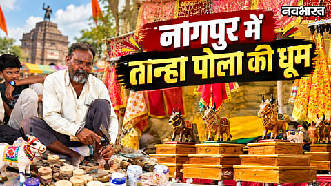 Nagpur Tanha Pola Tradition and Employment