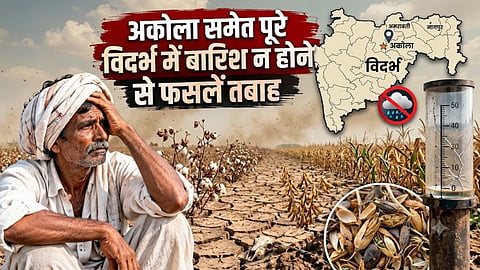 Akola Farmer Drought Situation