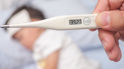shenand fever outbreak 3 year old child death mahagaon