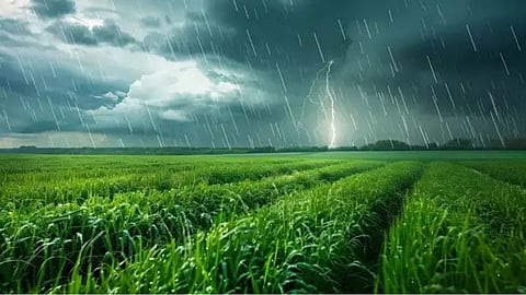 amravati rain monsoon return kharif crops relief