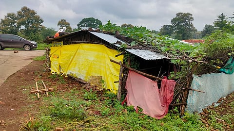 wardha tiger attack farmer death compensation job demand