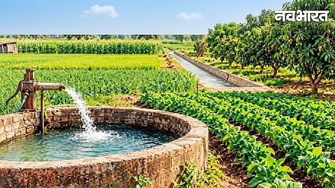 Irrigated Land Double Compensation
