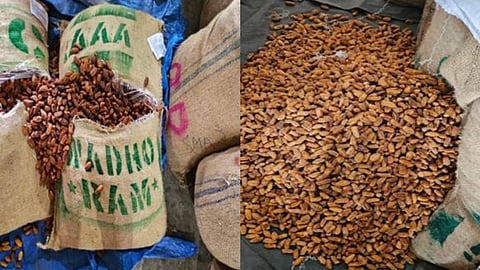 nashik dri seizes 362 ton pakistani dry dates ambad cfs