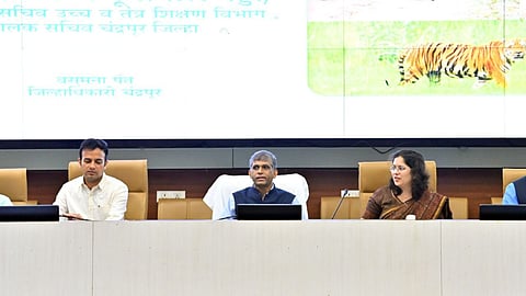 chandrapur 59 percent rainfall 468 lakh hectare sowing