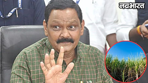 Chandrapur Ashok Uike Rainfall Drought Alert
