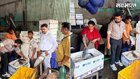 Thai Magur Fish Seized In Bhiwandi