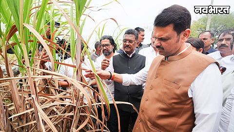 CM Devendra Fadnavis inspected areas affected by drought-like situation in Dharashiv district