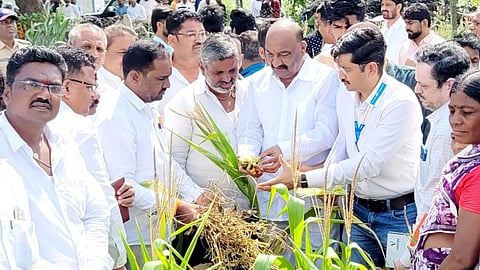 chhatrapati sambhajinagar drought sandipan bhumre farmers crop loss