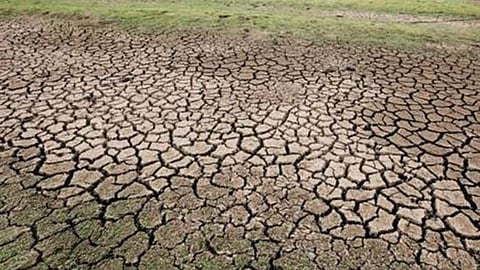 Bhandara Drought, Farmer Relief