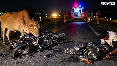 CRPF Jawan Dies After Bike Collides with Cattle in the Dark