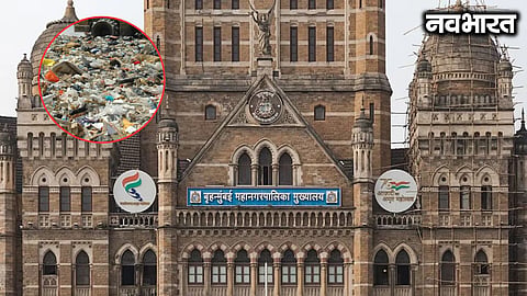 BMC's cleanliness drive in Mumbai: 1,336 cases registered in September for violation of waste disposal rules